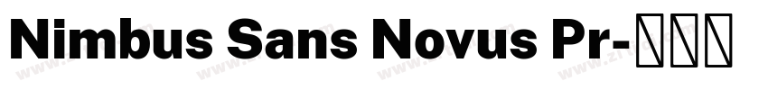 Nimbus Sans Novus Pr字体转换
